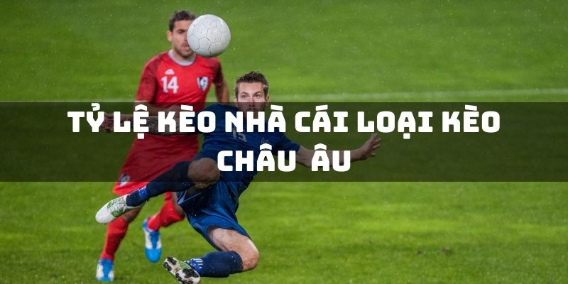 ty le keo nha cai loai keo chau au - Gifyu